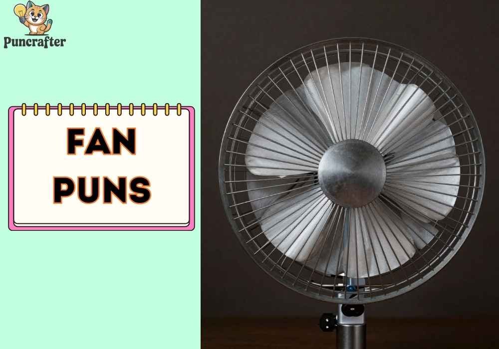 Short Funny Fan Puns 