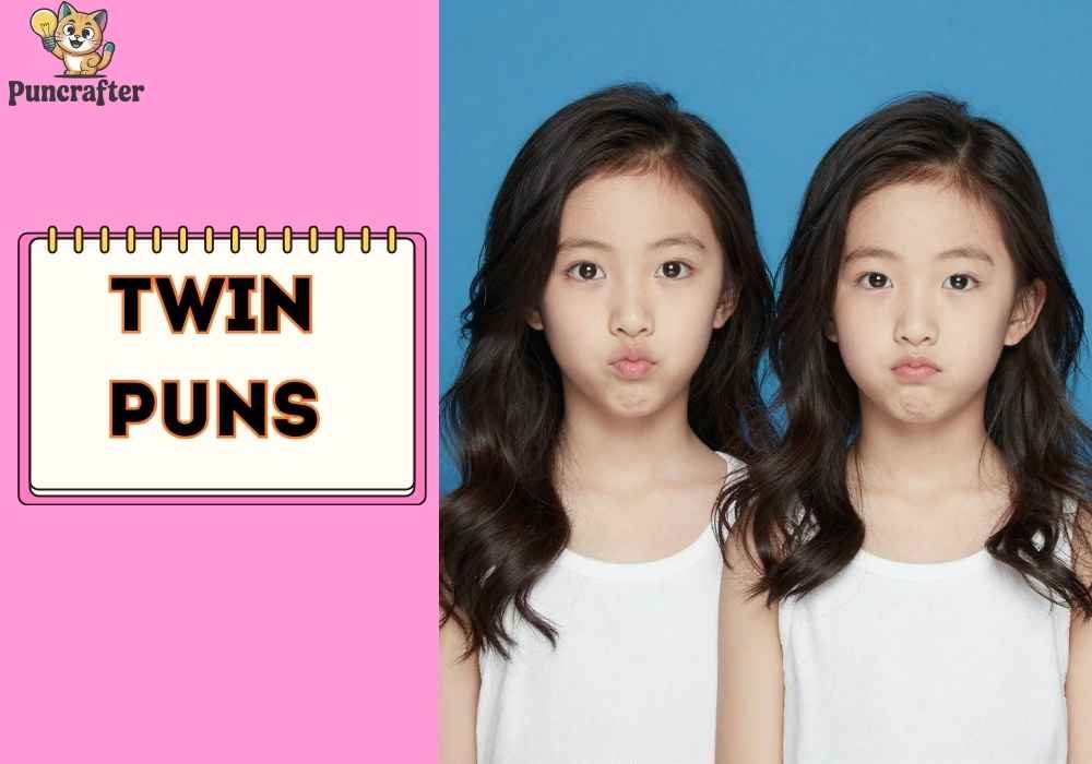 Clever Twin Puns