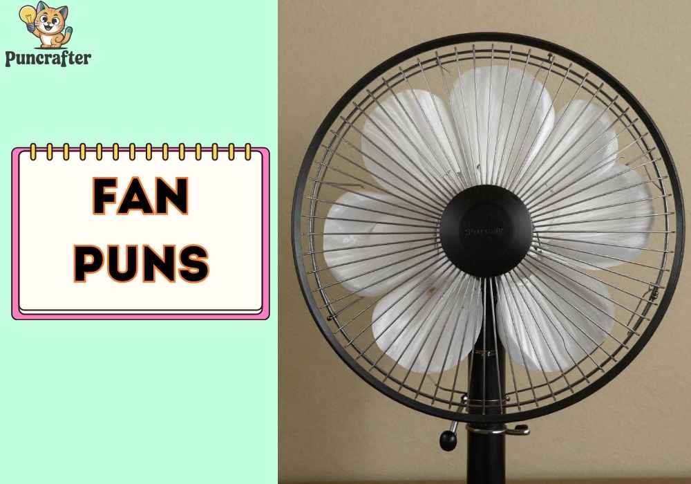 Fan Puns