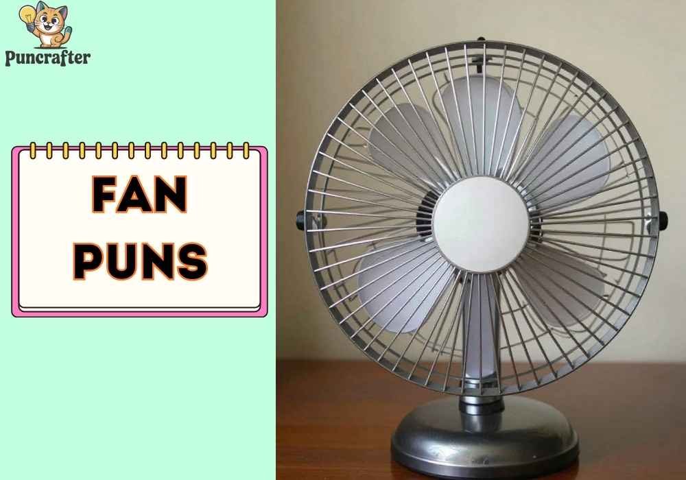 Friendly Fan Jokes