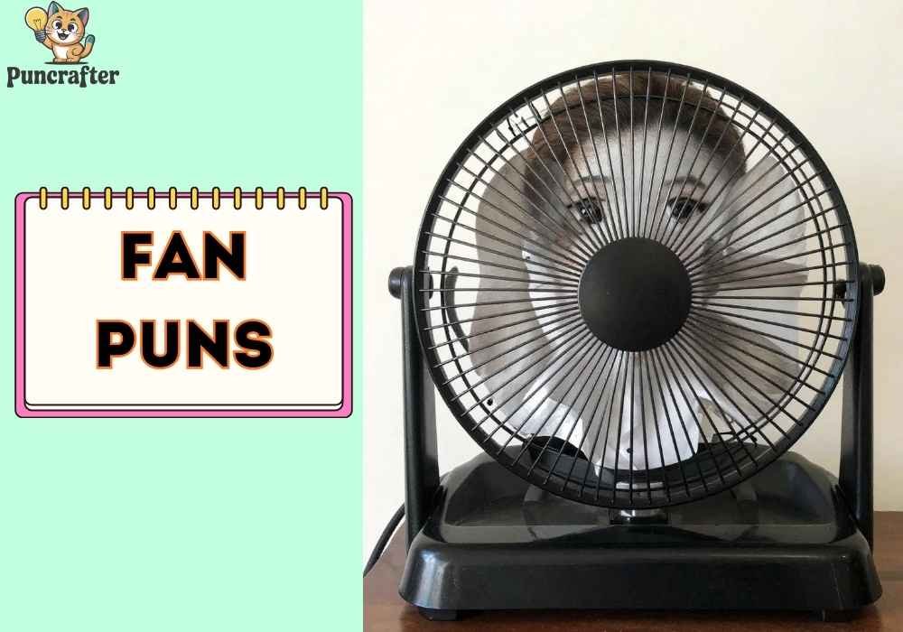  Funny Fan Puns 