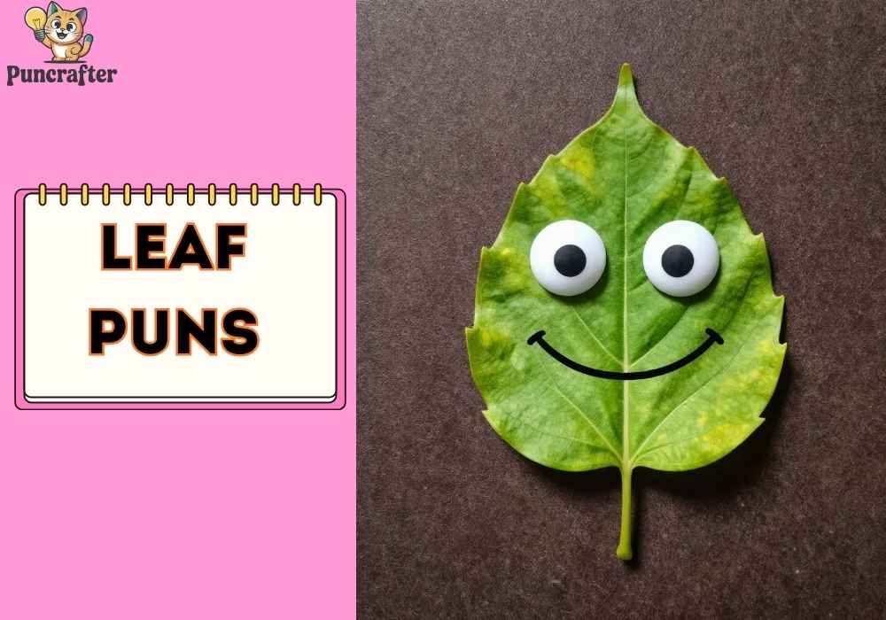 Funny Leaf Puns