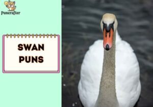 Swan Puns