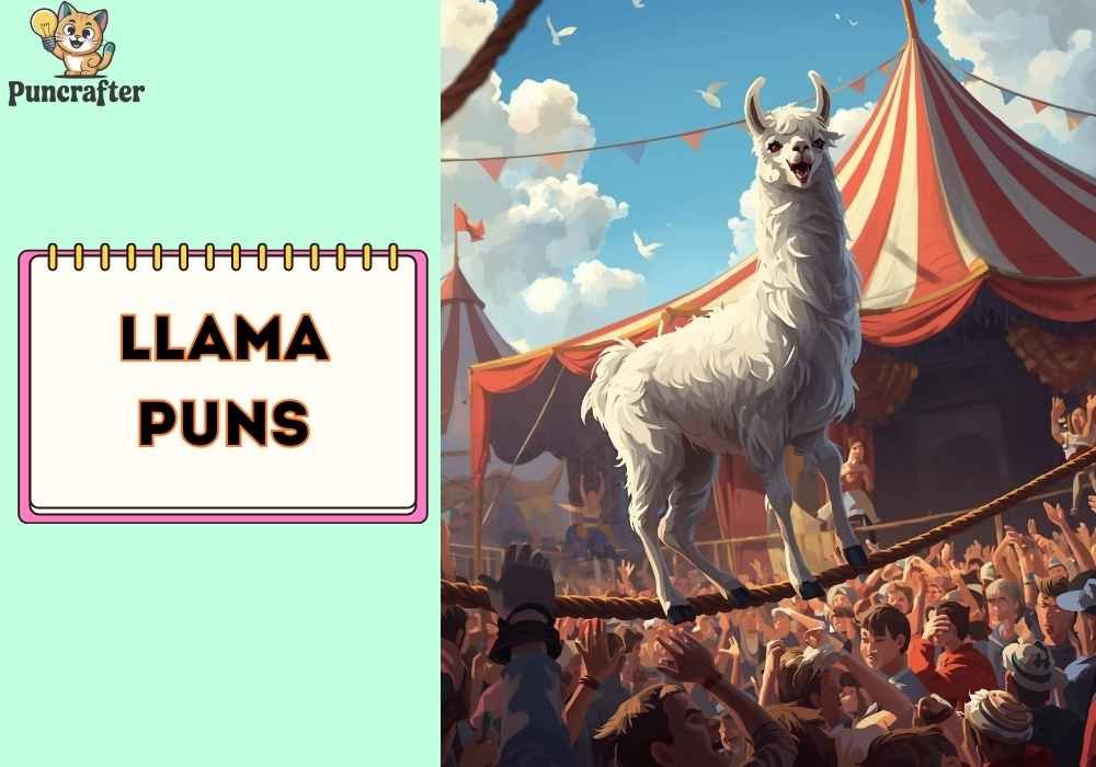 Witty Llama Puns