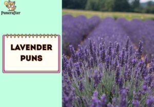 Lavender Puns