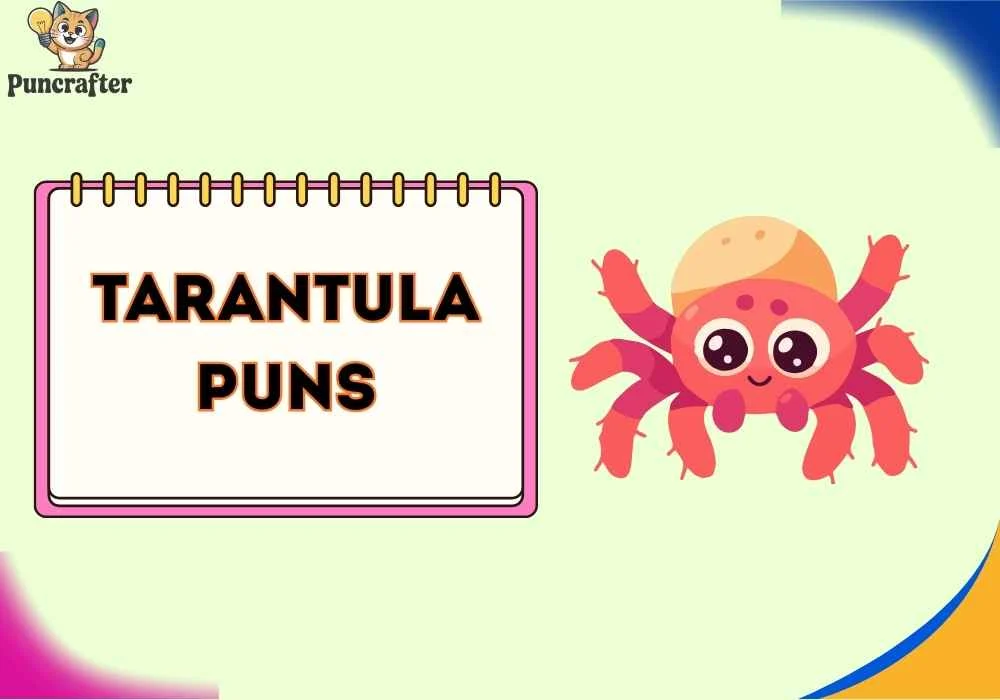 Tarantula Puns