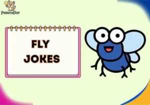 fly jokes
