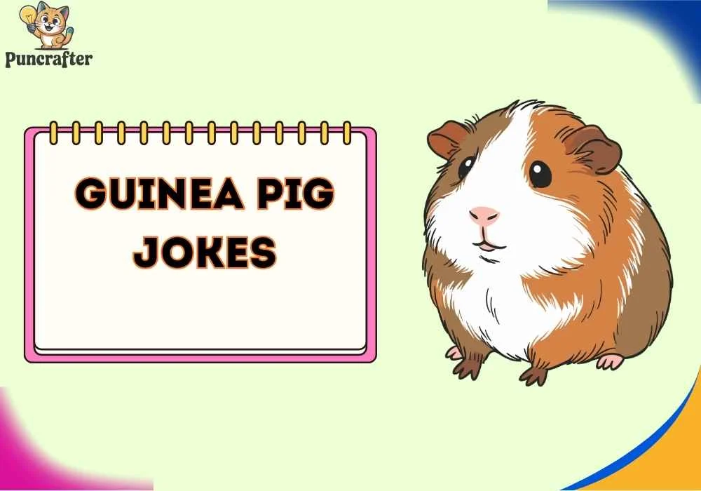 guinea pig jokes