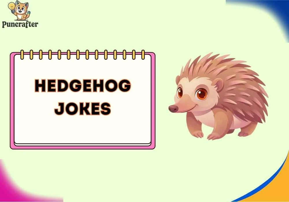 hedgehog jokes