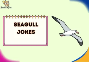 seagull jokes