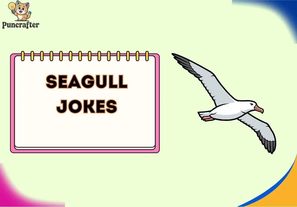 seagull jokes