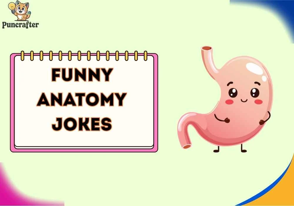 funny anatomy jokes
