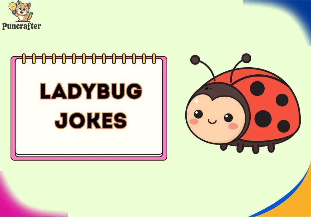ladybug jokes