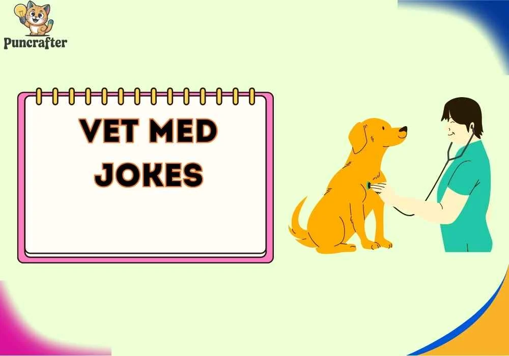 vet med jokes