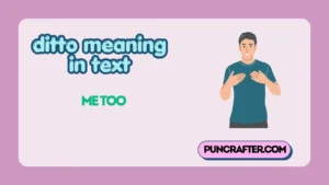 ditto meaning in text