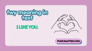 fwy meaning in text