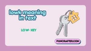 lowk meaning in text