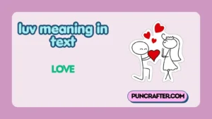 luv meaning in text
