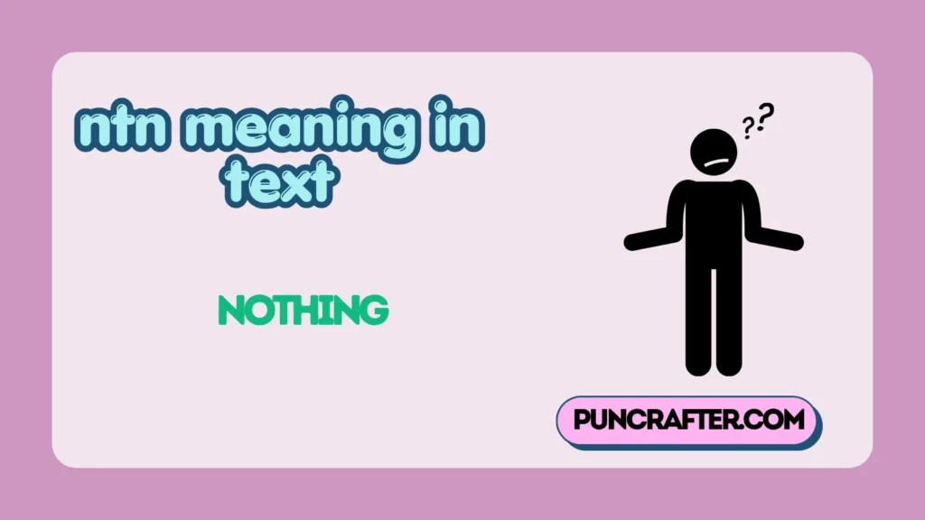 ntn meaning in text