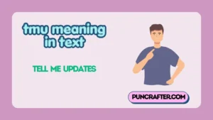 TW Meaning in Text: Full Meaning Usage & Examples [2026 ] - puncrafter.com